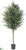 Olive Tree - Green Two Tone - Pack of 2