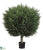 Pine Ball Topiary - Green - Pack of 1