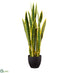 Silk Plants Direct Sansevieria Plant - Variegated - Pack of 2