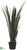 Sansevieria Plant - Green Two Tone - Pack of 2