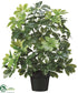 Silk Plants Direct Schefflera Plant - Green - Pack of 4
