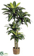 Silk Plants Direct Dracaena Plant - Green - Pack of 2