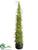 Twig Topiary Cone - Green - Pack of 2