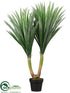 Silk Plants Direct Tropical Yucca Plant - Green - Pack of 2