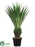 Silk Plants Direct Yucca Plant - Green - Pack of 2