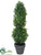 Boxwood Topiary Cone Ball - Green - Pack of 4