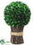 Boxwood Bundle Topiary - Green - Pack of 2