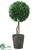 Boxwood Topiary - Green - Pack of 2