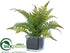 Silk Plants Direct Fern - Green Gray - Pack of 4