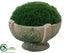 Silk Plants Direct Grass Moss - Green - Pack of 6