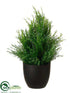 Silk Plants Direct Onion Grass Bush - Green - Pack of 2