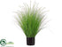 Silk Plants Direct Dog Tail Onion Grass - Green Cream - Pack of 2