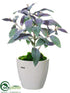 Silk Plants Direct Sage - Green Purple - Pack of 6