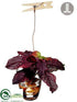 Silk Plants Direct Mint - Burgundy - Pack of 12