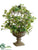 Ivy Sphere Topiary - Green - Pack of 2