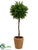 Tea Leaf Single Ball Topiary - Green - Pack of 4