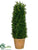 Tea Leaf Cone Topiary - Green - Pack of 2