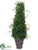 Angel Vine Topiary Cone - Green - Pack of 2
