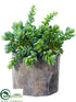 Silk Plants Direct Succulent - Green - Pack of 2