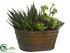 Silk Plants Direct Succulent Garden - Green - Pack of 4