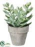Silk Plants Direct Succulent - Green Frosted - Pack of 12