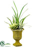 Silk Plants Direct Succulent - Green Burgundy - Pack of 2