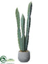Silk Plants Direct Column Cactus - Green Gray - Pack of 2