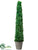 Tea Leaf Cone Topiary - Green - Pack of 2
