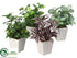 Silk Plants Direct Greenery Arrangement - Green Plum - Pack of 12