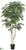 White Paper Birch Tree - Green - Pack of 2