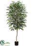 Silk Plants Direct Birch Tree - Green - Pack of 2