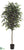 White Paper Birch Tree - Green - Pack of 2