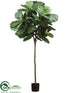 Silk Plants Direct Fiddle Leaf Tree - Green - Pack of 2