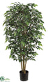 Silk Plants Direct Nitida Ficus Tree - Green - Pack of 2