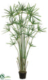 Silk Plants Direct Cypress Grass Tree - Green - Pack of 1