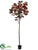Sea Grape Tree - Green Red - Pack of 2