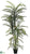 Areca Palm Tree - Green - Pack of 1
