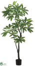 Silk Plants Direct Pachira Aquatica Tree - Green - Pack of 2