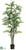 Parlour Palm Tree - Green - Pack of 2