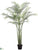 Outdoor Areca Palm Tree - Green - Pack of 2