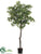 Azalea Leaf Topiary Tree - Green - Pack of 2