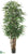 Rhapis Palm Tree - Green Two Tone - Pack of 2