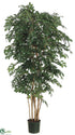 Silk Plants Direct Sakaki Tree - Green Dark - Pack of 2