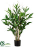 Silk Plants Direct Dracaena Surculosa Plant - Green - Pack of 4