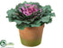 Silk Plants Direct Cabbage - Green Purple - Pack of 12