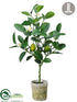 Silk Plants Direct Lemon Topiary - Yellow Green - Pack of 6