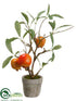 Silk Plants Direct Pomegranate Tree - Red - Pack of 6