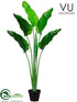 Silk Plants Direct Outdoor Bird of Paradise Plant - Green - Pack of 1
