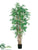 Japanese Bamboo Tree - Green Two Tone - Pack of 1