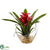 Silk Plants Direct Tropical Bromeliad - Red - Pack of 1